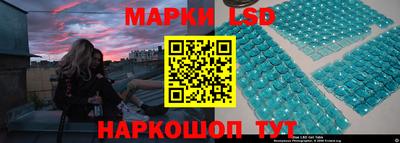 стаф Новокубанск