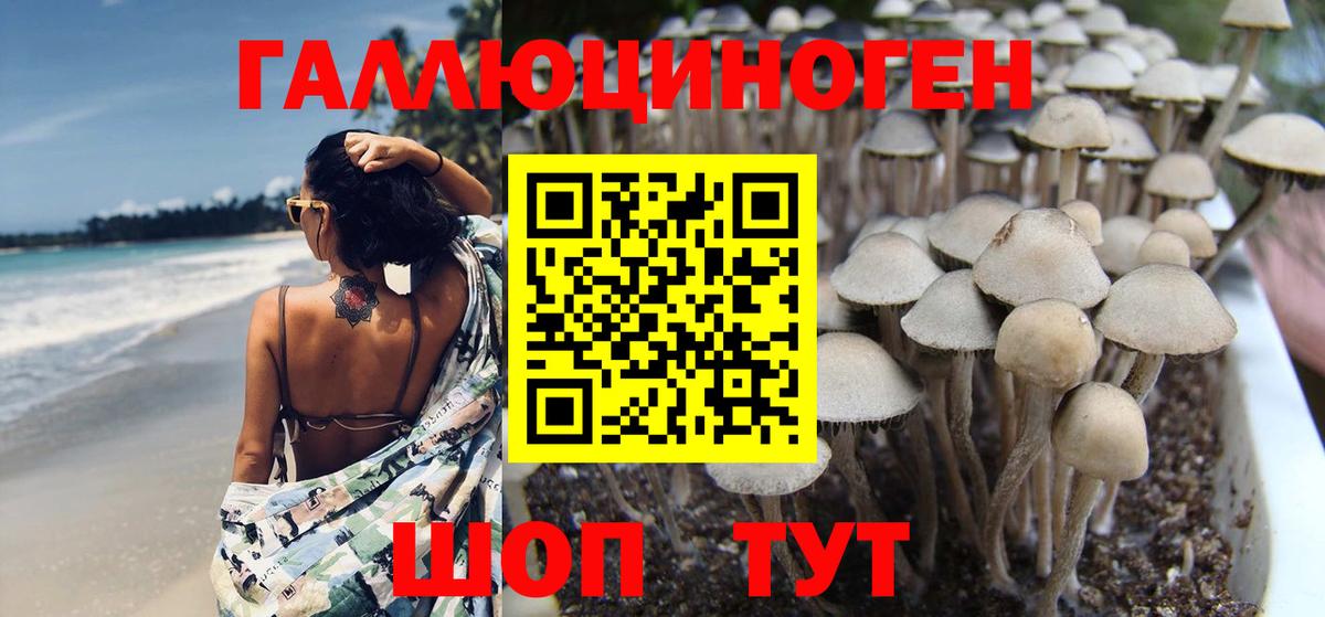Псилоцибиновые грибы MAGIC MUSHROOMS Заречный